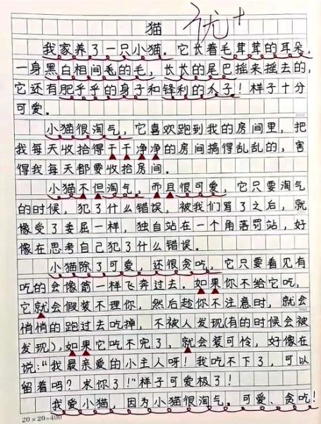 我家的猫作文怎么写_写猫作文的万能开头-第1张图片-星辰妙记