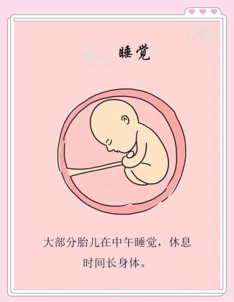 孕妇不睡觉胎儿会睡吗_胎儿睡眠规律-第1张图片-星辰妙记