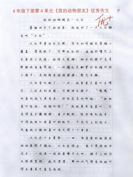 四年级四单元作文怎么写_四年级四单元作文写什么-第2张图片-星辰妙记