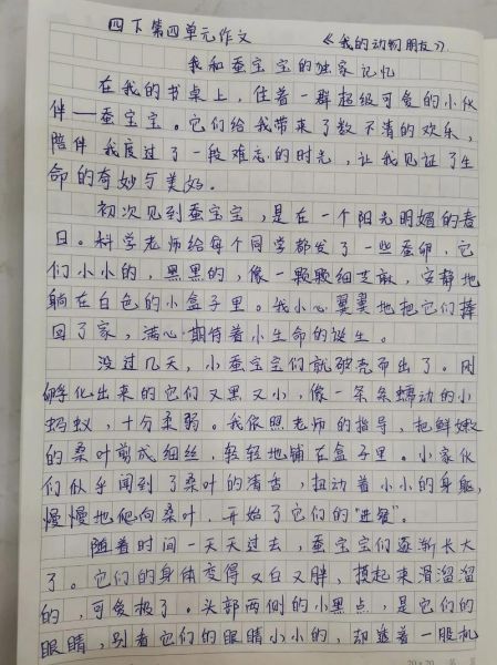 四年级四单元作文怎么写_四年级四单元作文写什么-第3张图片-星辰妙记