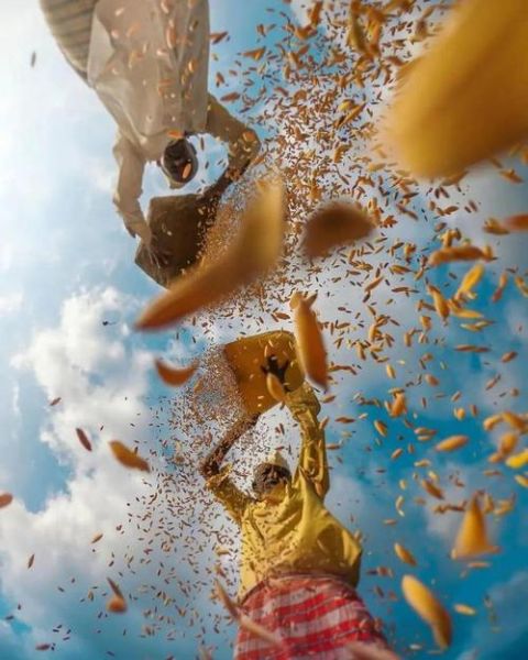 镜头冲击是什么_如何拍出震撼画面-第2张图片-星辰妙记