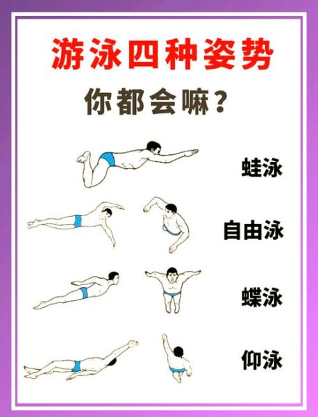 如何学会游泳_游泳初学者常见问题-第2张图片-星辰妙记