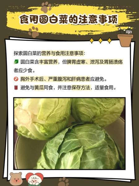 孕妇能吃圆白菜吗_圆白菜对胎儿有影响吗-第3张图片-星辰妙记