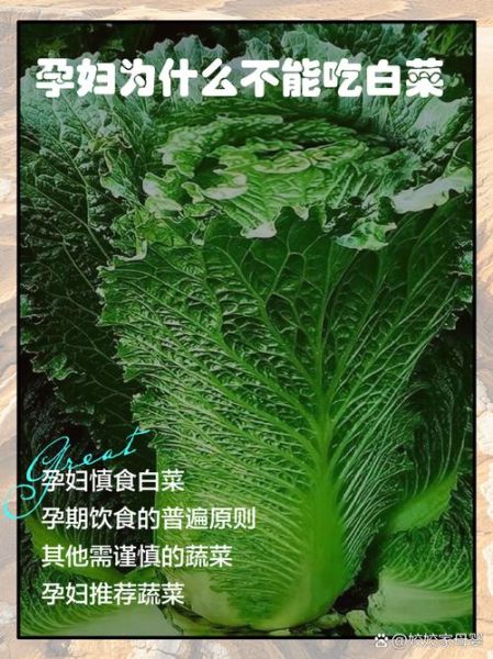 孕妇能吃圆白菜吗_圆白菜对胎儿有影响吗-第2张图片-星辰妙记