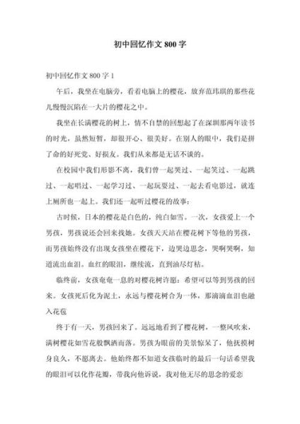 初中作文怎么写_800字作文怎么写-第1张图片-星辰妙记