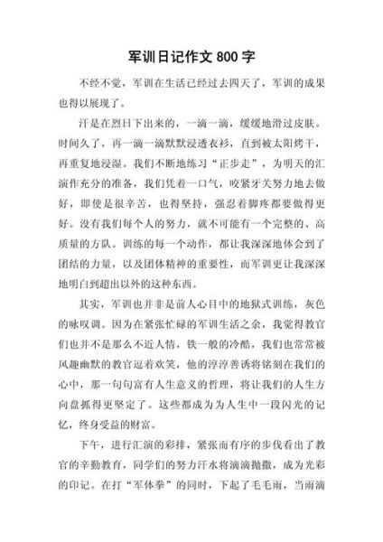 龙翔军训作文怎么写_龙翔军训作文开头怎么写-第2张图片-星辰妙记