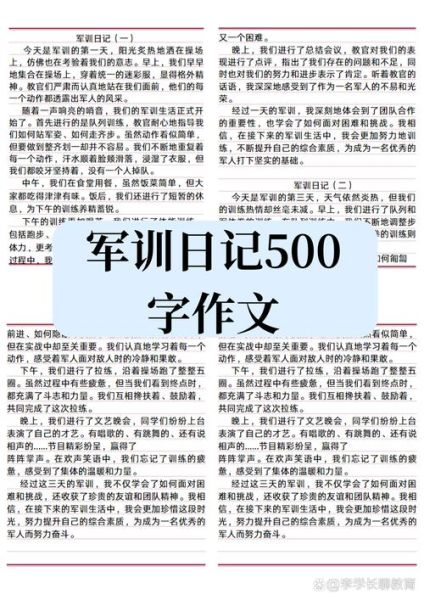 龙翔军训作文怎么写_龙翔军训作文开头怎么写-第3张图片-星辰妙记