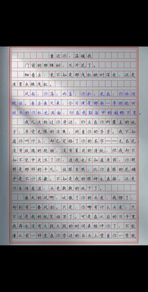 中考作文怎么写_中考作文要写多少字-第2张图片-星辰妙记