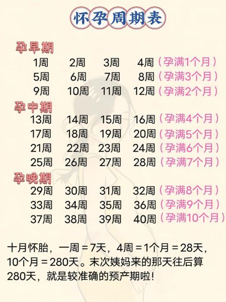 孕妇多少周算足月_孕晚期从第几周开始-第2张图片-星辰妙记