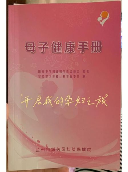 孕妇手册有必要买吗_孕妇手册电子版哪里下载-第2张图片-星辰妙记