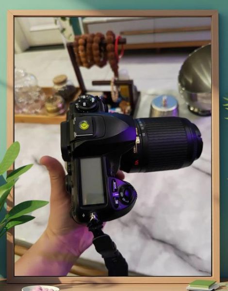 d200镜头兼容吗_尼康d200配什么镜头好-第2张图片-星辰妙记