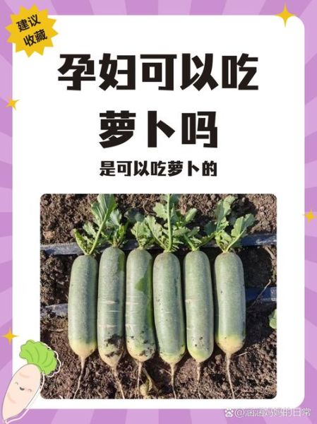 孕妇能吃生萝卜吗_生萝卜对胎儿有影响吗-第2张图片-星辰妙记 孕妇能吃生萝卜吗_生萝卜对胎儿有影响吗-第2张图片-星辰妙记