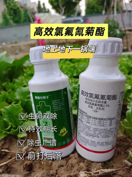 孕妇吃了刚喷农药的菜怎么办_对胎儿有影响吗-第2张图片-星辰妙记 孕妇吃了刚喷农药的菜怎么办_对胎儿有影响吗-第2张图片-星辰妙记