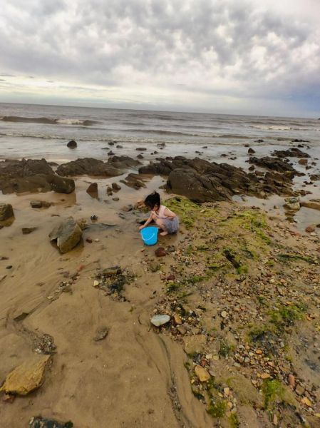 海边捉螃蟹技巧_去海边怎么抓螃蟹-第2张图片-星辰妙记 海边捉螃蟹技巧_去海边怎么抓螃蟹-第2张图片-星辰妙记
