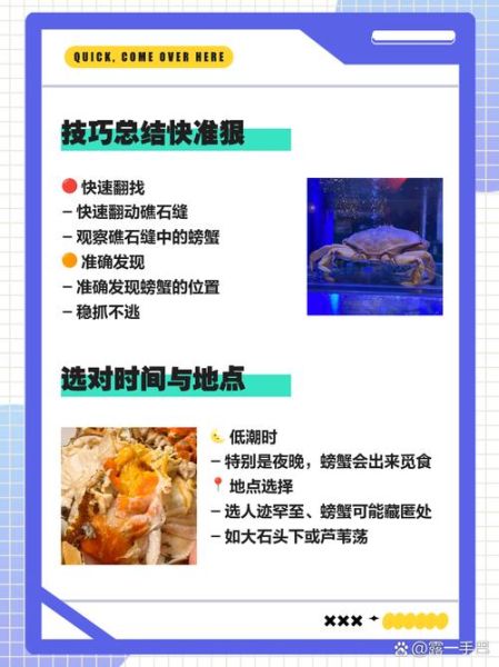 海边捉螃蟹技巧_去海边怎么抓螃蟹-第1张图片-星辰妙记 海边捉螃蟹技巧_去海边怎么抓螃蟹-第1张图片-星辰妙记