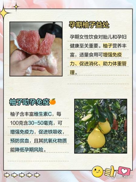 孕妇可以吃柚子吗_孕期吃柚子注意事项-第1张图片-星辰妙记 孕妇可以吃柚子吗_孕期吃柚子注意事项-第1张图片-星辰妙记
