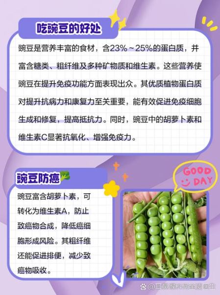 孕妇可以吃豌豆吗_豌豆对孕妇的好处-第1张图片-星辰妙记 孕妇可以吃豌豆吗_豌豆对孕妇的好处-第1张图片-星辰妙记