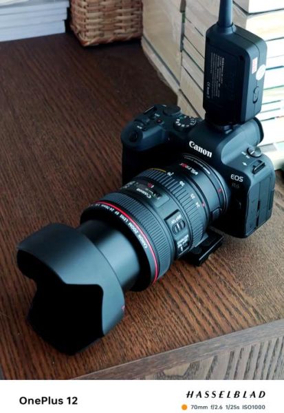 佳能24-70mm和索尼24-70mm哪个好_画质锐度对比-第2张图片-星辰妙记 佳能24-70mm和索尼24-70mm哪个好_画质锐度对比-第2张图片-星辰妙记