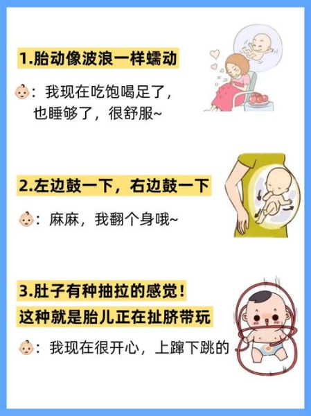 孕妇翻身胎儿也跟着动吗_胎动频繁正常吗-第3张图片-星辰妙记 孕妇翻身胎儿也跟着动吗_胎动频繁正常吗-第3张图片-星辰妙记