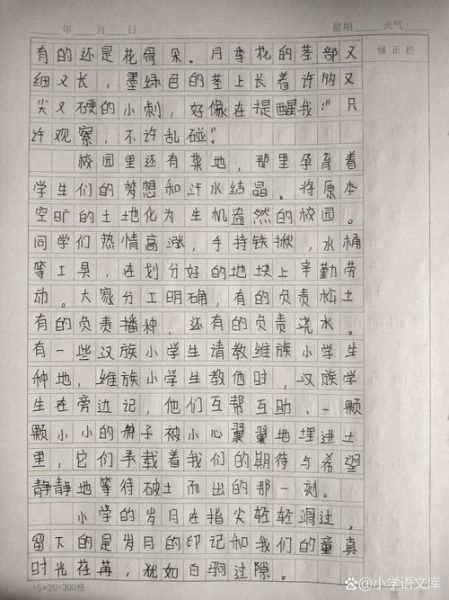 美丽的校园作文怎么写_400字范文如何扩写到800字-第1张图片-星辰妙记