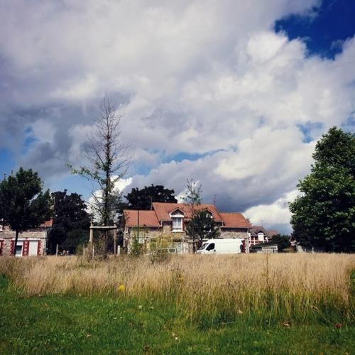 what_is_macro_lens_used_for_how_to_choose_macro_lens-第2张图片-星辰妙记 what_is_macro_lens_used_for_how_to_choose_macro_lens-第2张图片-星辰妙记