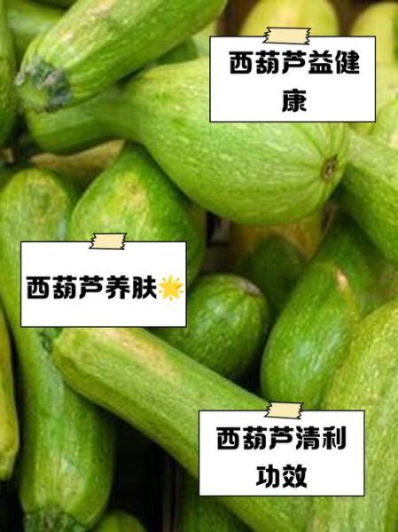 孕妇能吃葫芦吗_孕期吃葫芦注意事项-第3张图片-星辰妙记 孕妇能吃葫芦吗_孕期吃葫芦注意事项-第3张图片-星辰妙记