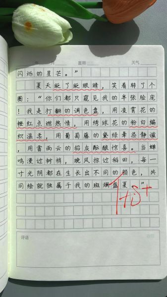 夏天怎么写作文_夏天作文素材有哪些-第1张图片-星辰妙记