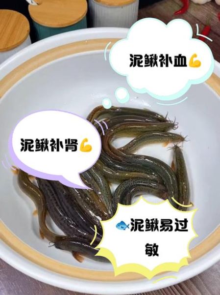 孕妇能吃泥鳅吗_孕妇吃泥鳅对胎儿好吗-第2张图片-星辰妙记