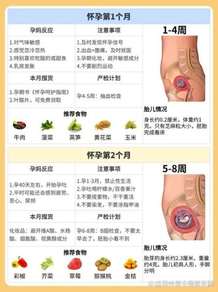 孕妇补充维生素a吃什么好_孕妇维生素a过量对胎儿的影响-第1张图片-星辰妙记 孕妇补充维生素a吃什么好_孕妇维生素a过量对胎儿的影响-第1张图片-星辰妙记