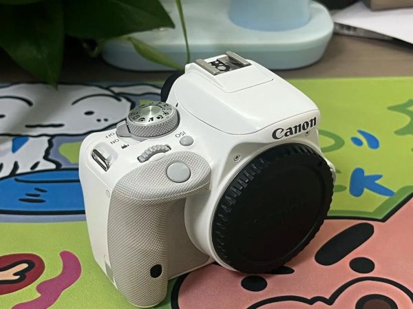 佳能100d饼干镜头值得买吗_佳能100d饼干镜头画质怎么样-第2张图片-星辰妙记 佳能100d饼干镜头值得买吗_佳能100d饼干镜头画质怎么样-第2张图片-星辰妙记