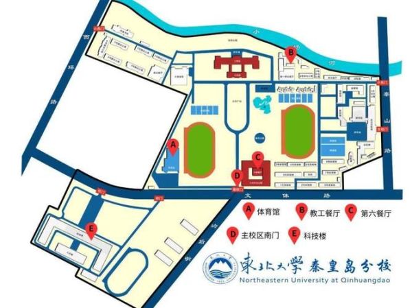东北大学秦皇岛分校教务处官网入口_选课流程-第1张图片-星辰妙记
