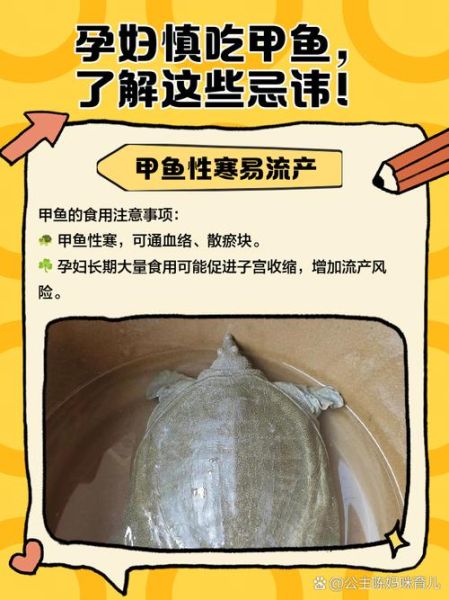 孕妇吃甲鱼对胎儿有影响吗_孕期能不能吃甲鱼-第1张图片-星辰妙记