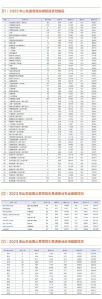 山东师范大学中外合作办学怎么样_录取分数线-第1张图片-星辰妙记