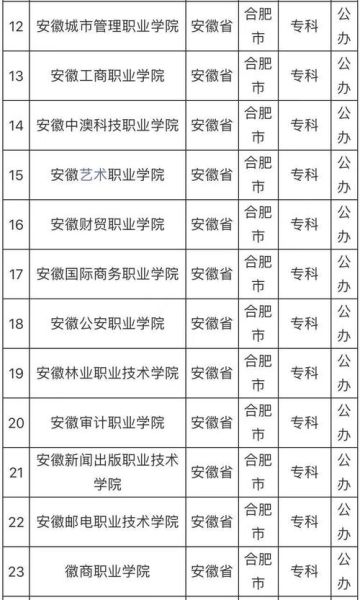 合肥有哪些大学_合肥最好的大学排名-第3张图片-星辰妙记