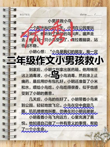 二年级300字作文怎么写_如何辅导孩子写二年级作文-第3张图片-星辰妙记