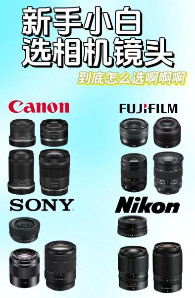 买数码镜头怎么选_新手买镜头要注意什么-第2张图片-星辰妙记