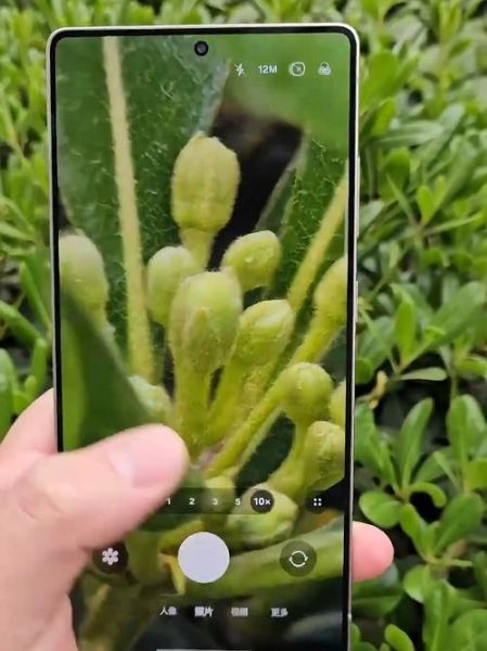 三星微距镜头怎么拍_三星微距镜头值得买吗-第3张图片-星辰妙记