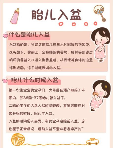 胎儿多少周入盆_入盆后多久会生-第2张图片-星辰妙记