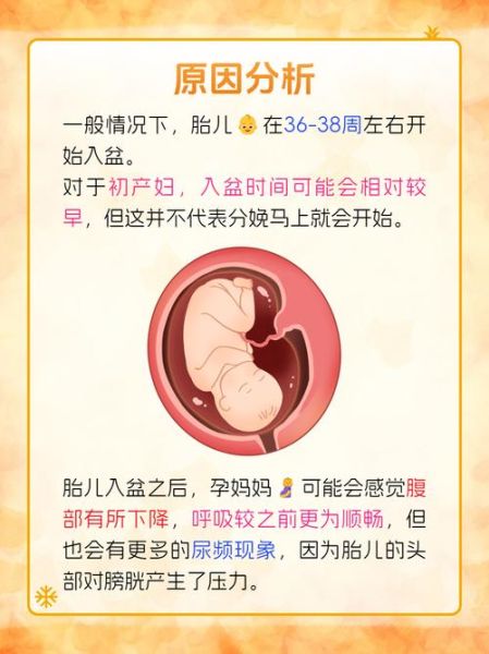 胎儿多少周入盆_入盆后多久会生-第1张图片-星辰妙记