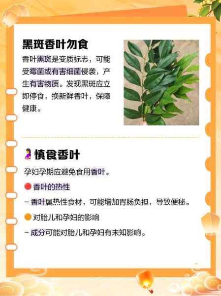 孕妇能吃香叶吗_香叶对孕妇安全吗-第1张图片-星辰妙记 孕妇能吃香叶吗_香叶对孕妇安全吗-第1张图片-星辰妙记