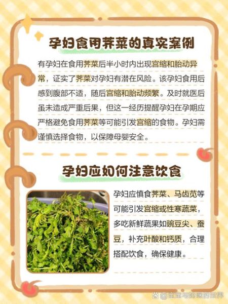 荠菜孕妇能吃吗_孕妇吃荠菜注意事项-第1张图片-星辰妙记
