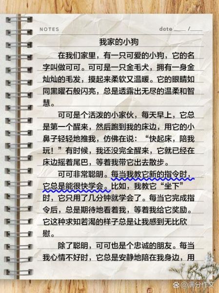 我家的小狗怎么写作文_写小狗作文的优美句子-第2张图片-星辰妙记