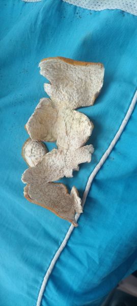 孕妇可以喝果皮泡水吗_果皮水对胎儿有影响吗-第3张图片-星辰妙记