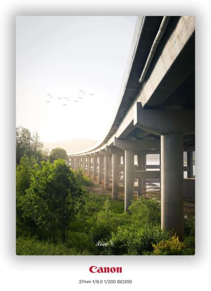 400镜头适合拍什么_400镜头多少钱-第3张图片-星辰妙记