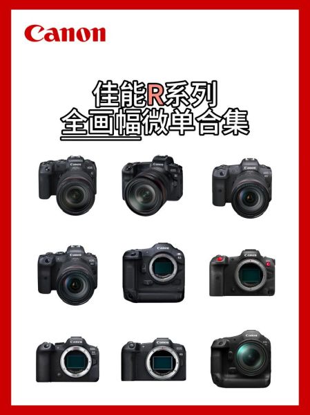 佳能全画幅镜头有哪些_怎么选-第3张图片-星辰妙记
