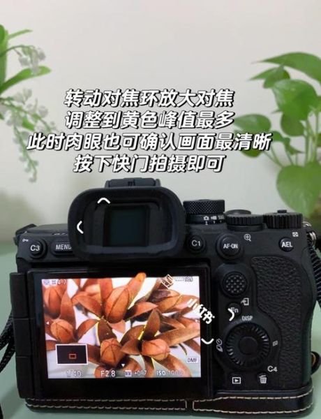 手动镜头怎么快速对焦_手动对焦技巧-第2张图片-星辰妙记