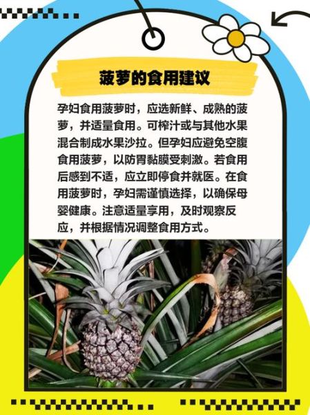 孕妇可以吃凤梨吗_凤梨对孕妇的好处与禁忌-第2张图片-星辰妙记
