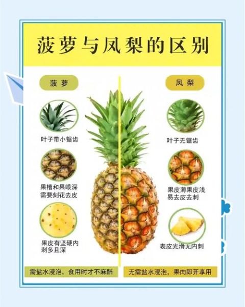 孕妇可以吃凤梨吗_凤梨对孕妇的好处与禁忌-第3张图片-星辰妙记