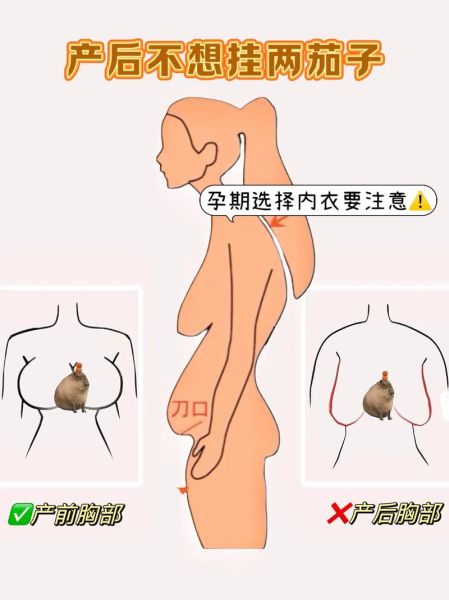 孕妇几个月胸部变大_怀孕多久乳房开始胀痛-第3张图片-星辰妙记