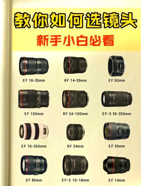照相机镜头怎么选_单反镜头和微单镜头区别-第2张图片-星辰妙记